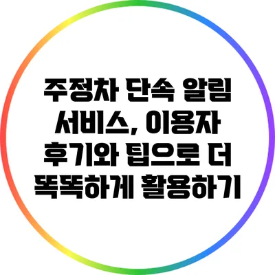 주정차 단속 알림 서비스, 이용자 후기와 팁으로 더 똑똑하게 활용하기
