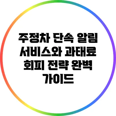 주정차 단속 알림 서비스와 과태료 회피 전략 완벽 가이드