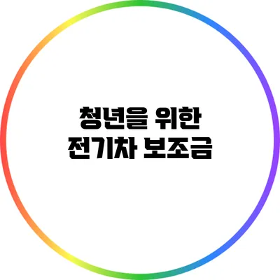 청년을 위한 전기차 보조금
