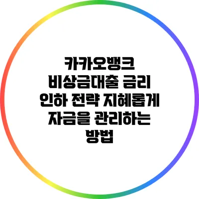 카카오뱅크 비상금대출 금리 인하 전략: 지혜롭게 자금을 관리하는 방법