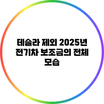테슬라 제외? 2025년 전기차 보조금의 전체 모습