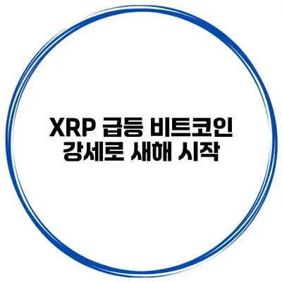 XRP 급등 비트코인 강세로 새해 시작