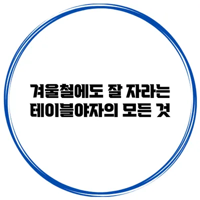 겨울철에도 잘 자라는 테이블야자의 모든 것