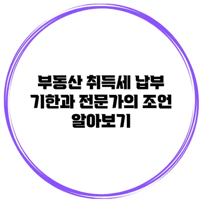 부동산 취득세 납부 기한과 전문가의 조언 알아보기