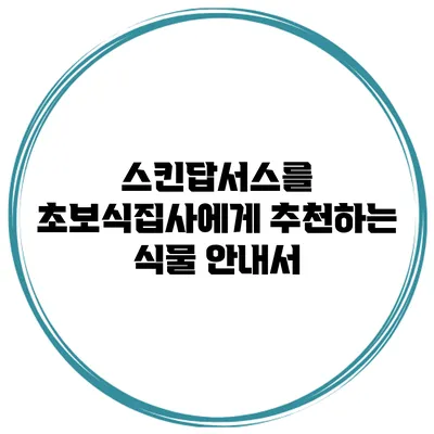 스킨답서스를 초보식집사에게 추천하는 식물 안내서