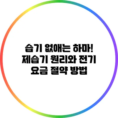 습기 없애는 하마! 제습기 원리와 전기 요금 절약 방법