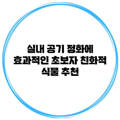 실내 공기 정화에 효과적인 초보자 친화적 식물 추천