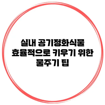 실내 공기정화식물 효율적으로 키우기 위한 물주기 팁