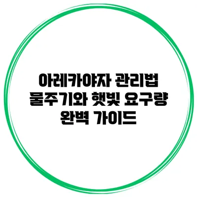 아레카야자 관리법: 물주기와 햇빛 요구량 완벽 가이드