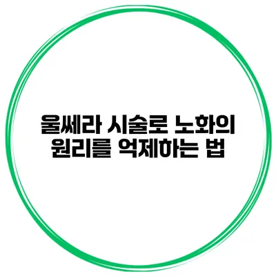 울쎄라 시술로 노화의 원리를 억제하는 법