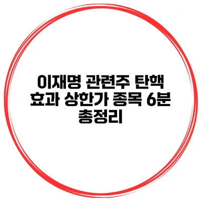 이재명 관련주 탄핵 효과 상한가 종목 6분 총정리