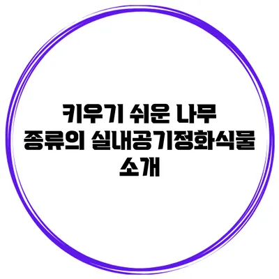 키우기 쉬운 나무 종류의 실내공기정화식물 소개
