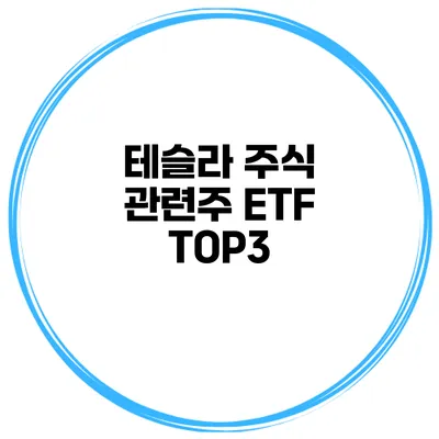 테슬라 주식 관련주 ETF TOP3