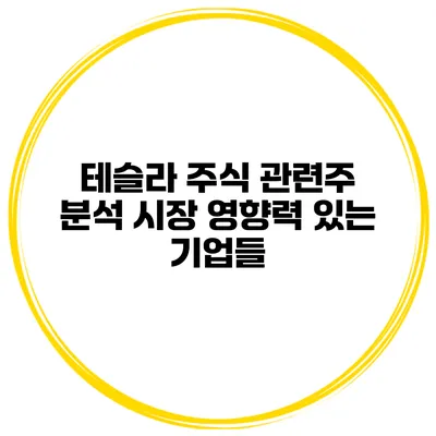 테슬라 주식 관련주 분석 시장 영향력 있는 기업들
