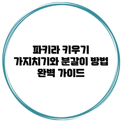 파키라 키우기: 가지치기와 분갈이 방법 완벽 가이드