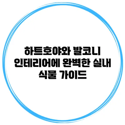하트호야와 발코니 인테리어에 완벽한 실내 식물 가이드