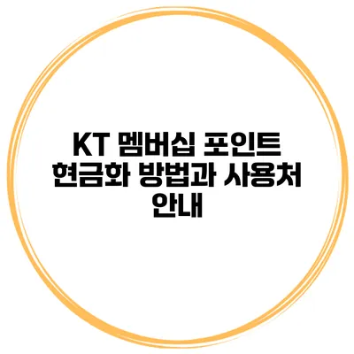 KT 멤버십 포인트 현금화 방법과 사용처 안내