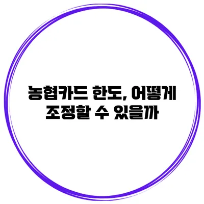 농협카드 한도, 어떻게 조정할 수 있을까?